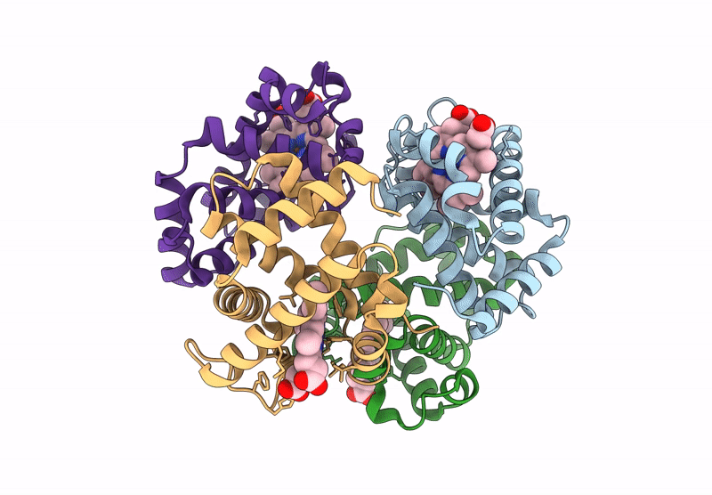9CQQ image