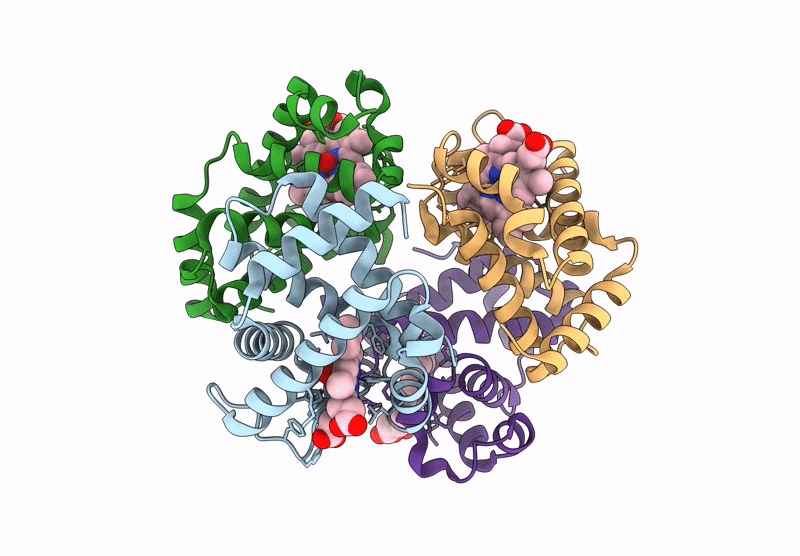 9CQS image
