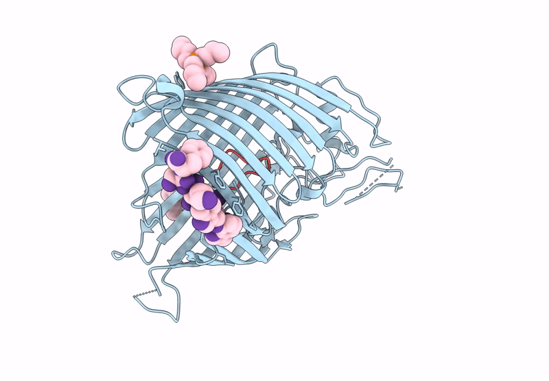 9CS0 image