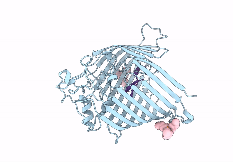 9CS2 image