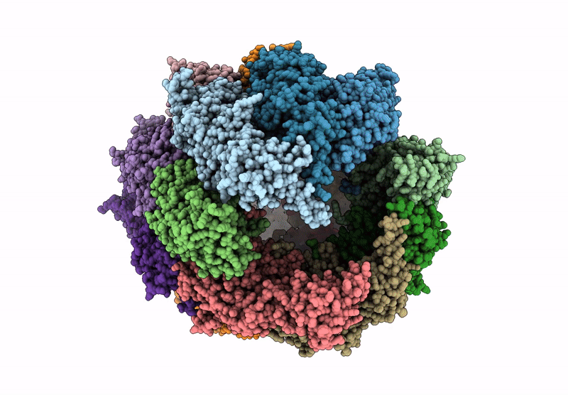 9CS4 image