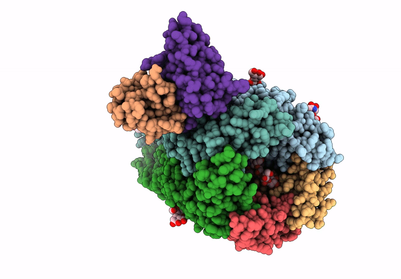 9CSB image