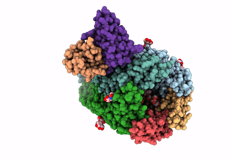 9CTJ image