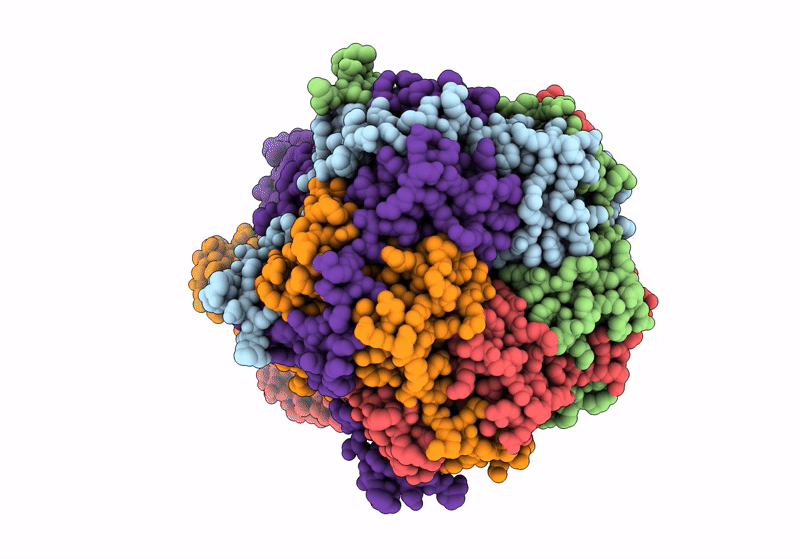 9CTQ image