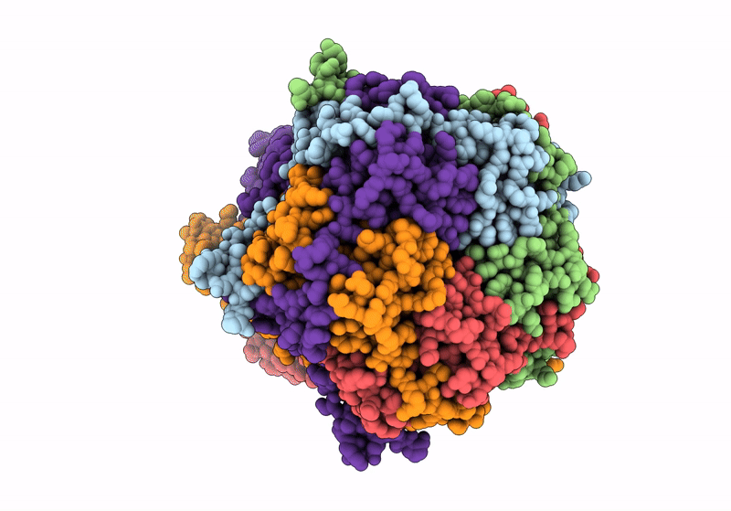 9CTS image