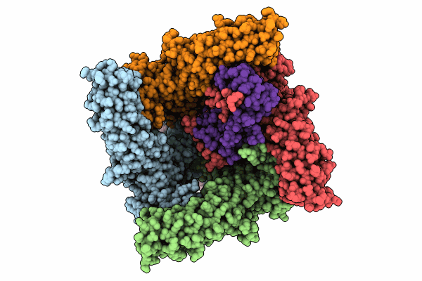 9CUI image