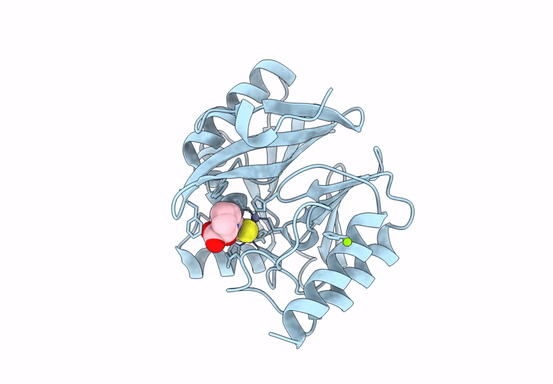 9CV5 image