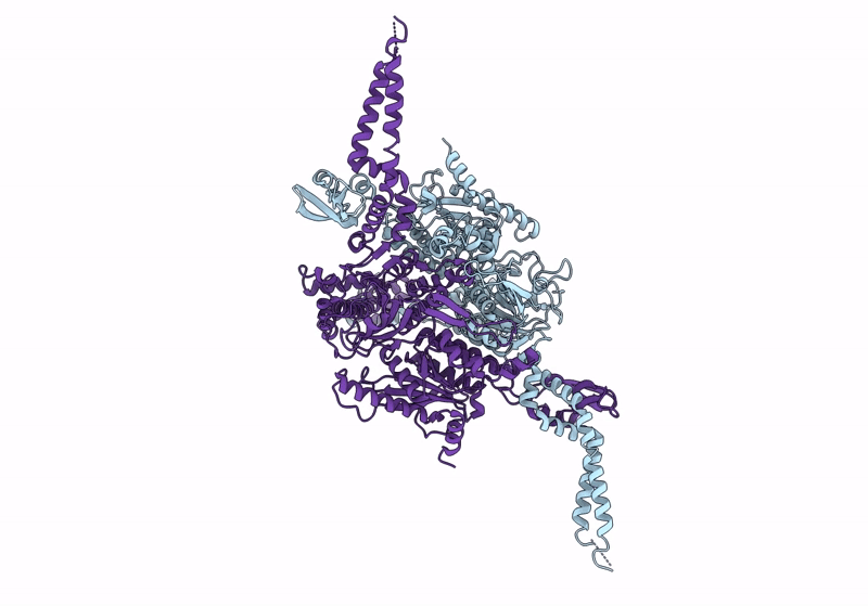 9CV6 image