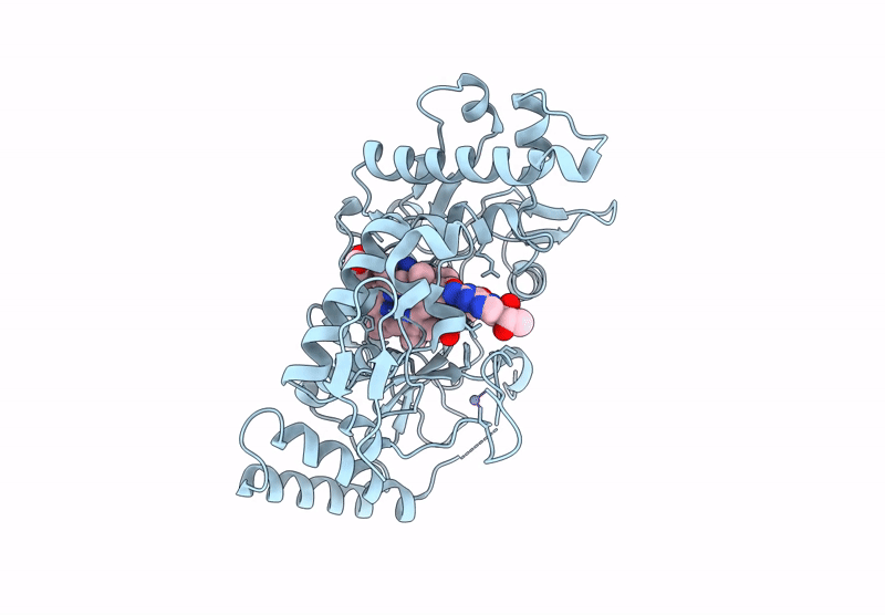 9CVI image