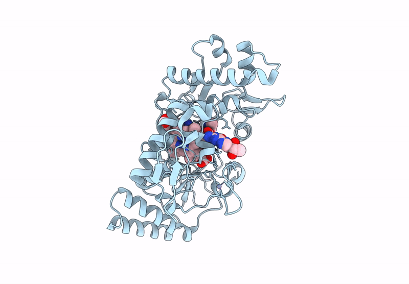 9CVJ image
