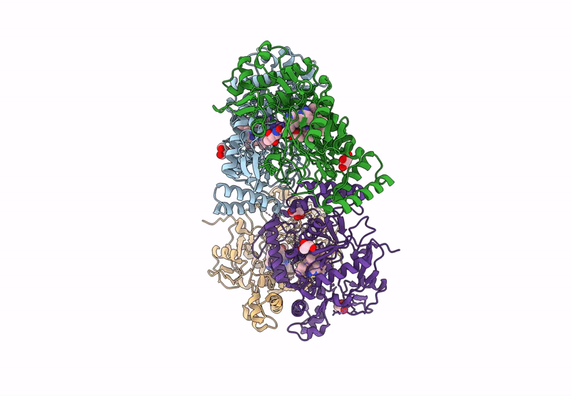 9CVX image