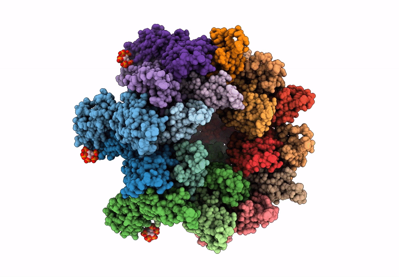 9CWV image