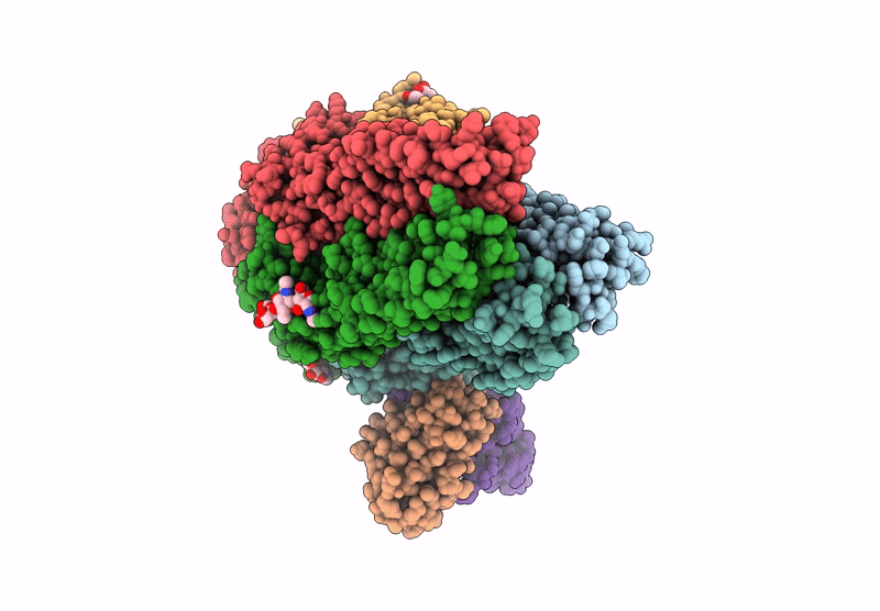 9CXB image
