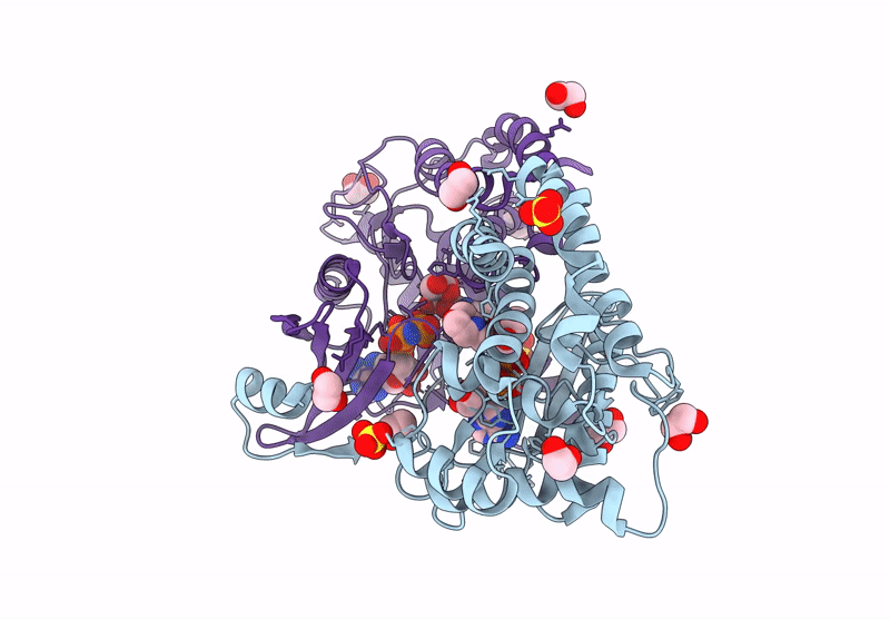 9CXN image