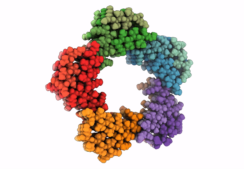 9CZ3 image