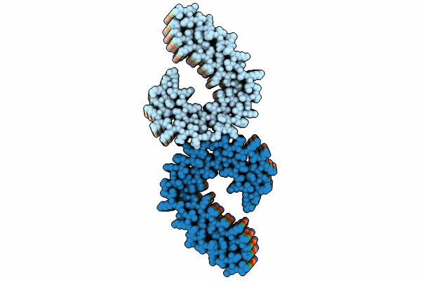 9CZI image