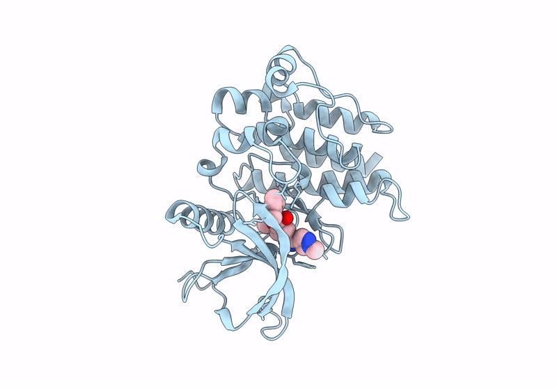 9D1X image