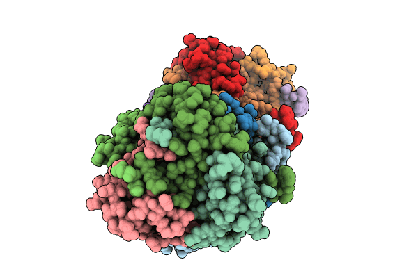 9D2C image