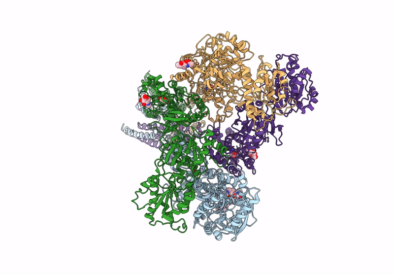 9D37 image