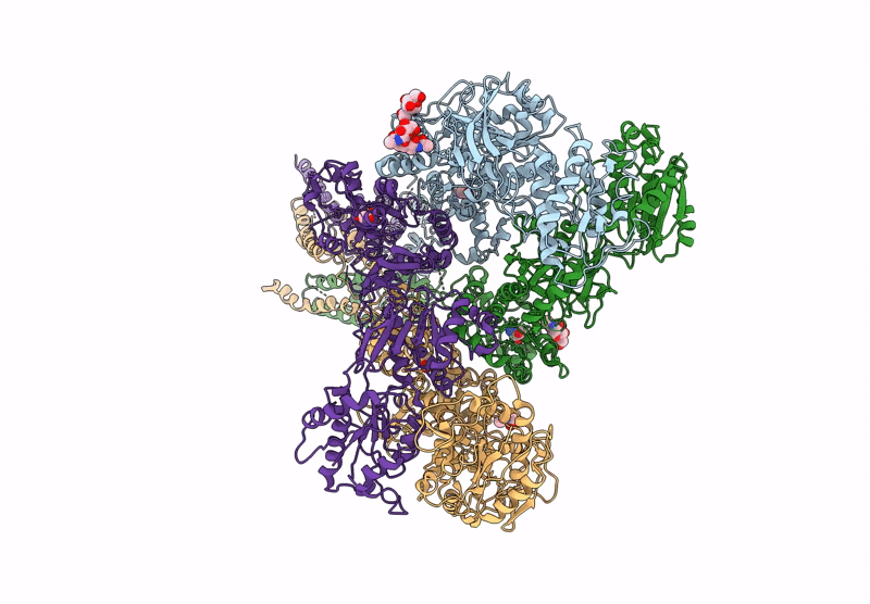 9D38 image