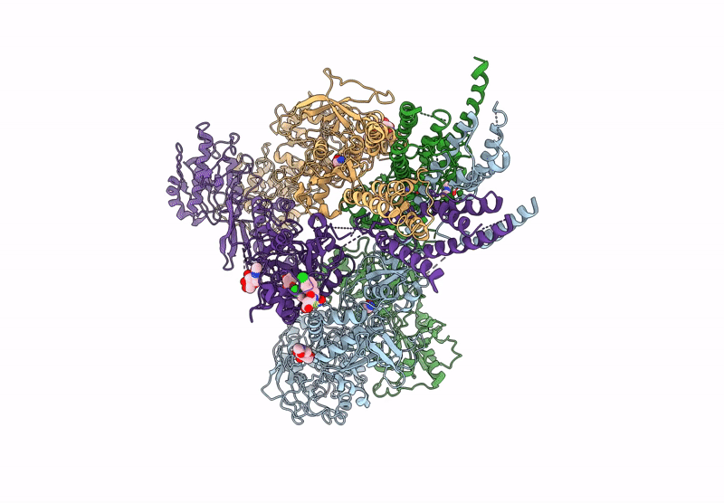 9D3B image