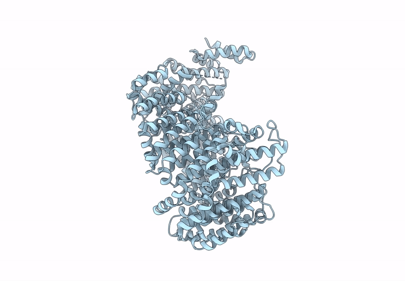 9D43 image