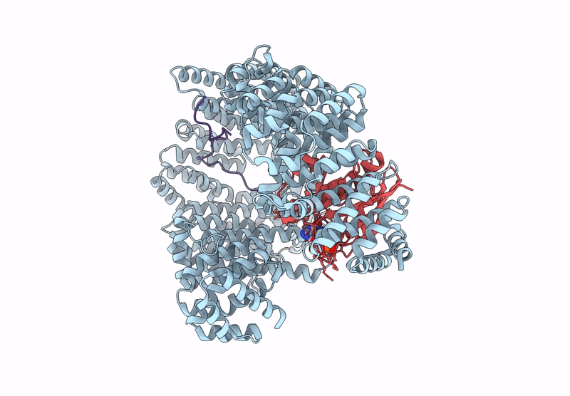 9D45 image