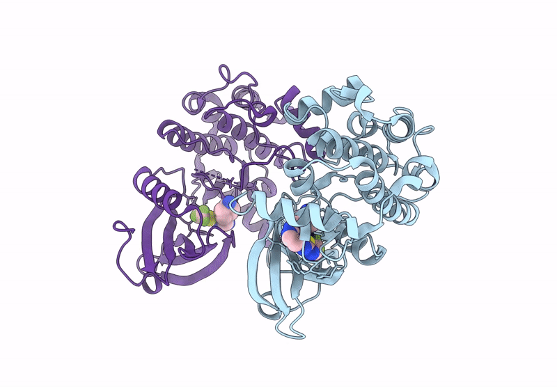 9D4W image