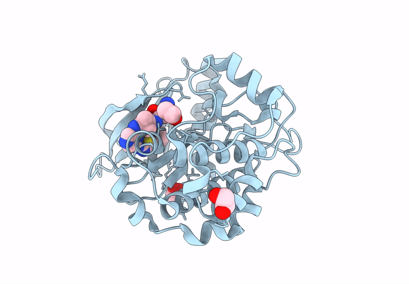 9D52 image