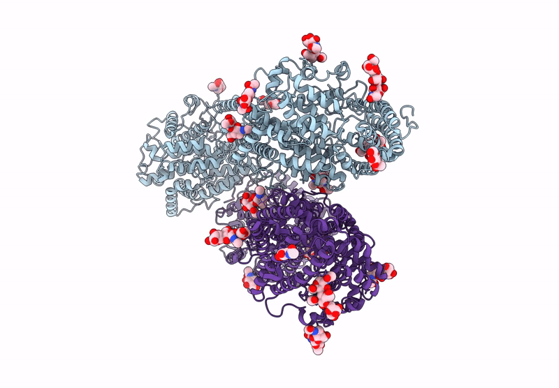 9D55 image
