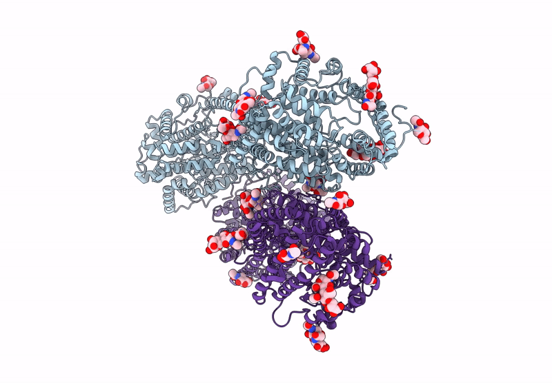 9D5M image