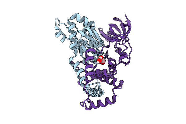 9D5U image