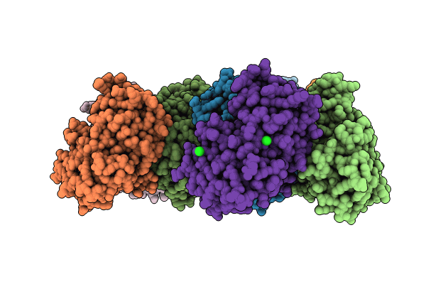 9D5W image