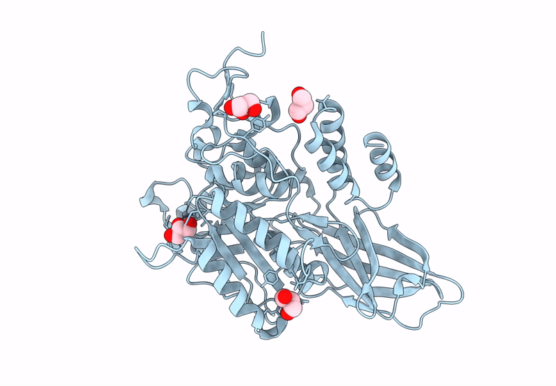 9D60 image