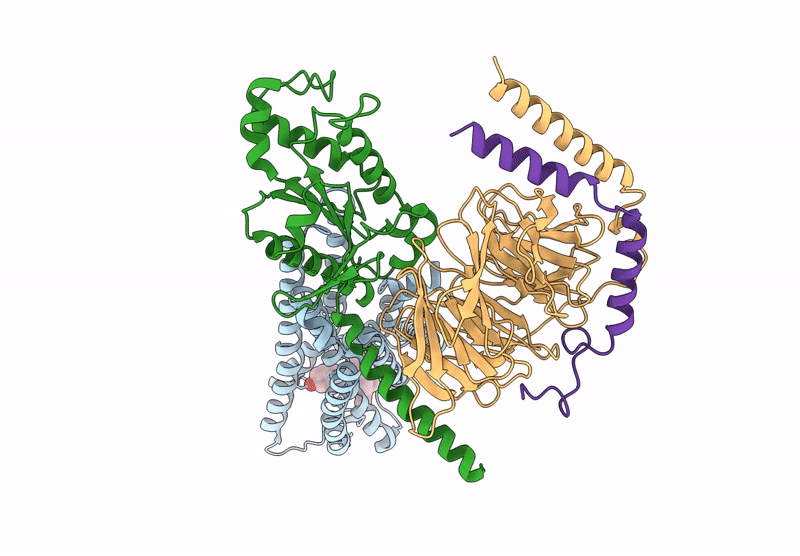 9D61 image