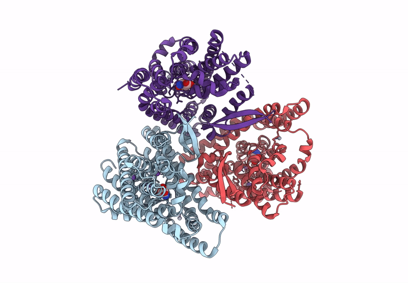 9D66 image