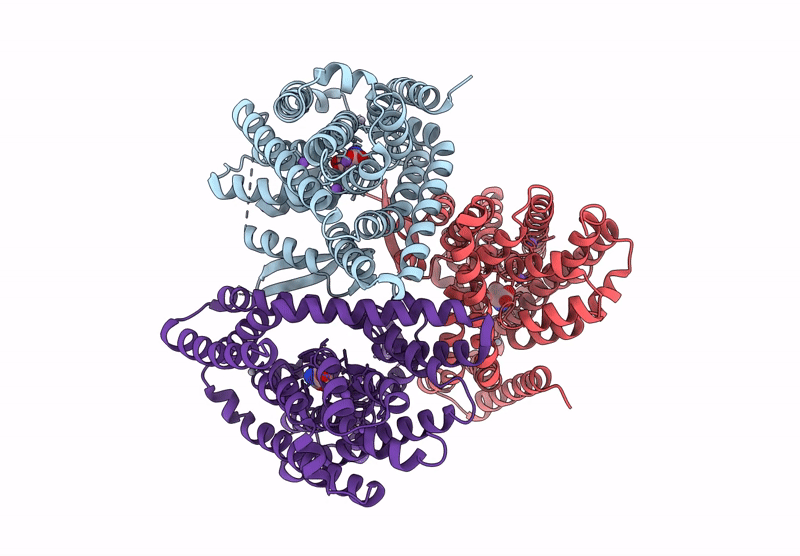 9D67 image