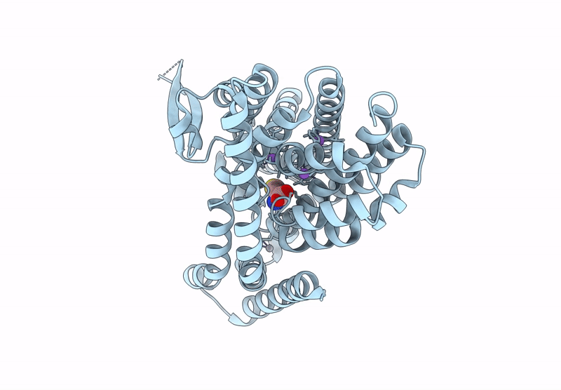 9D6A image