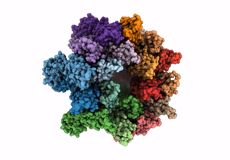 9D6E image