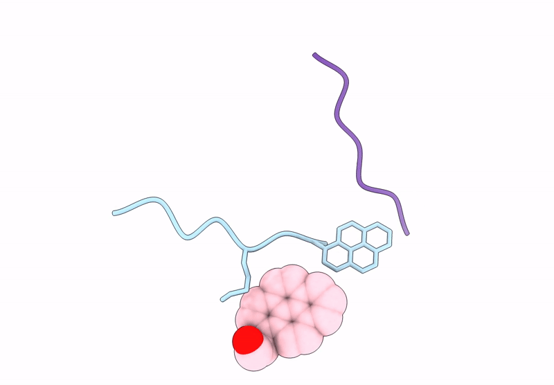 9D70 image