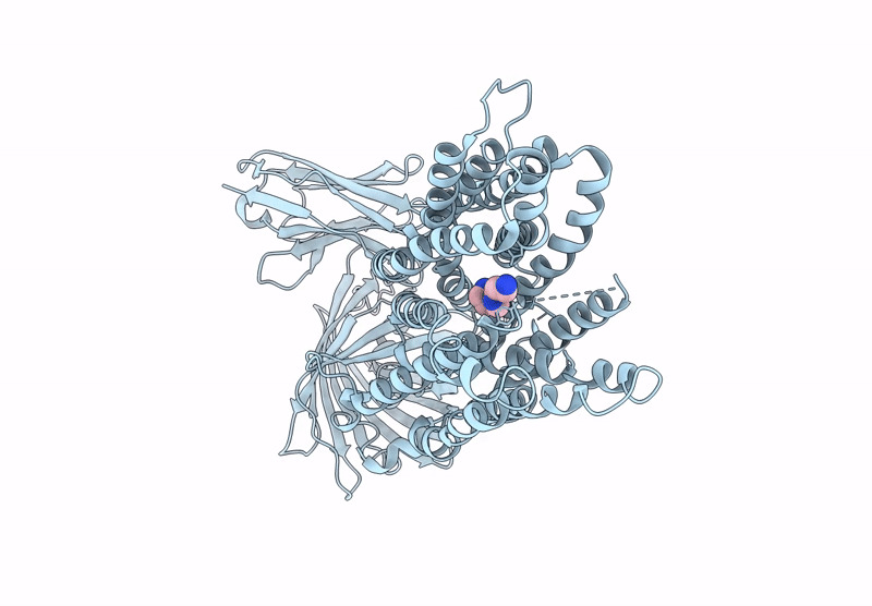9D7V image