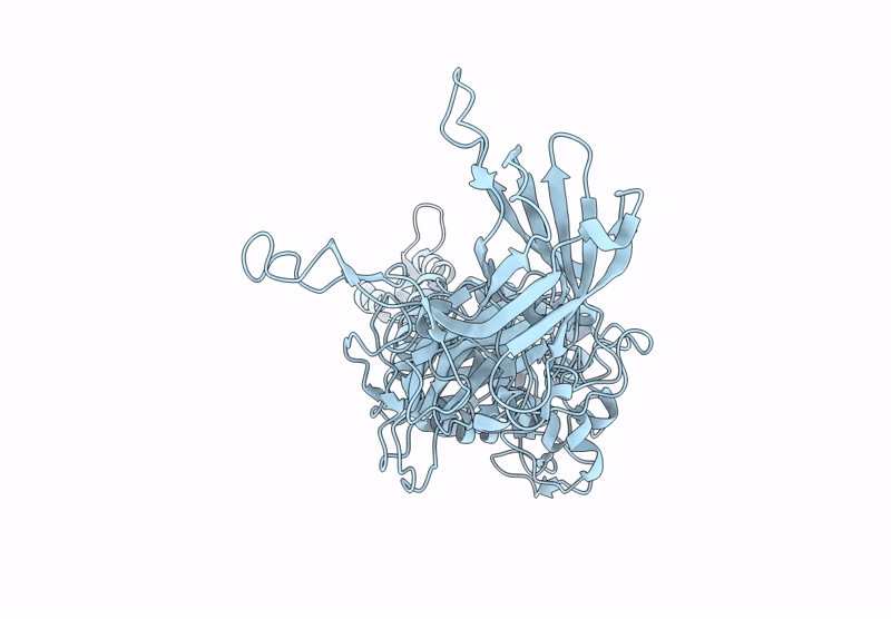 9D81 image