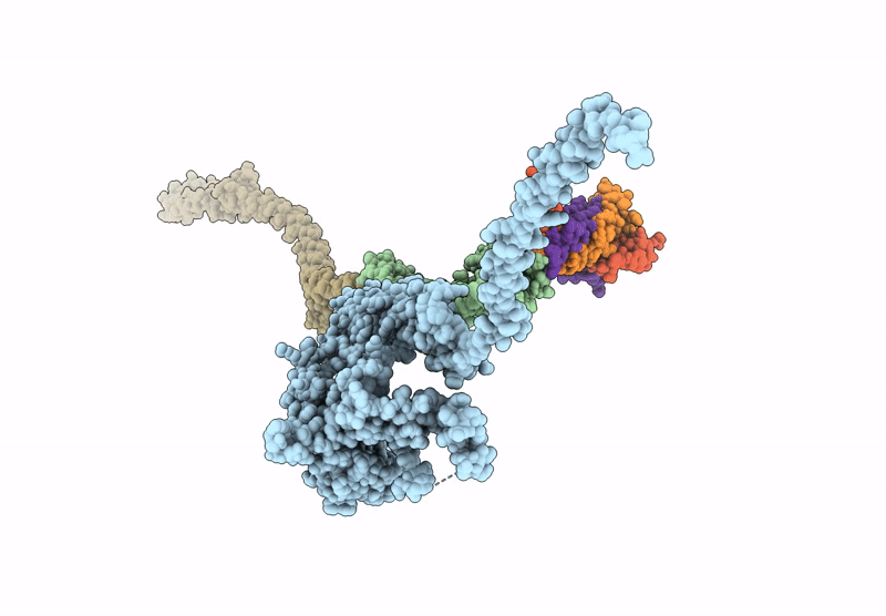 9D83 image
