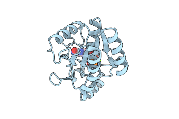 9D8A image