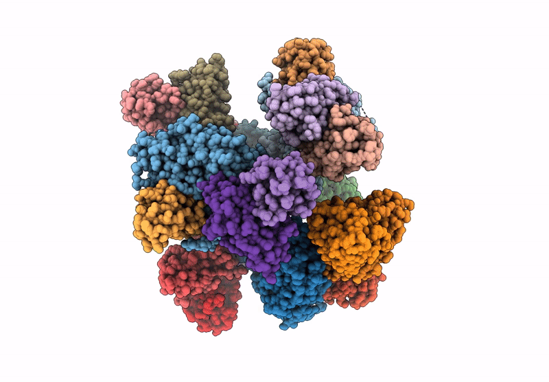 9D90 image