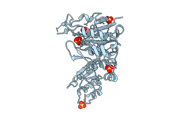 9D91 image