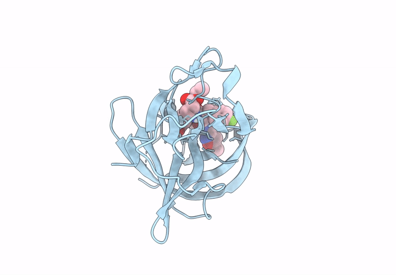 9D9T image