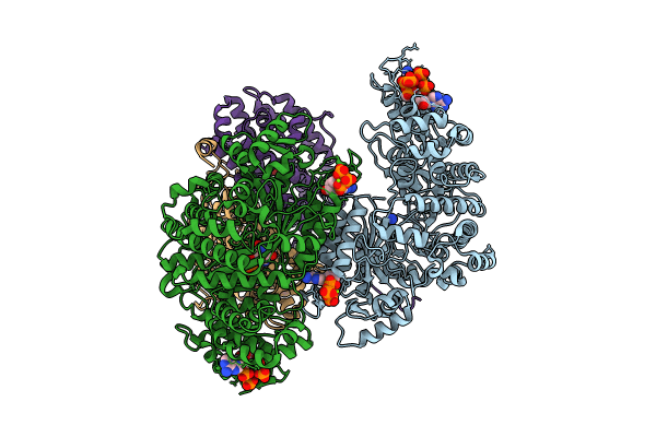 9DB2 image