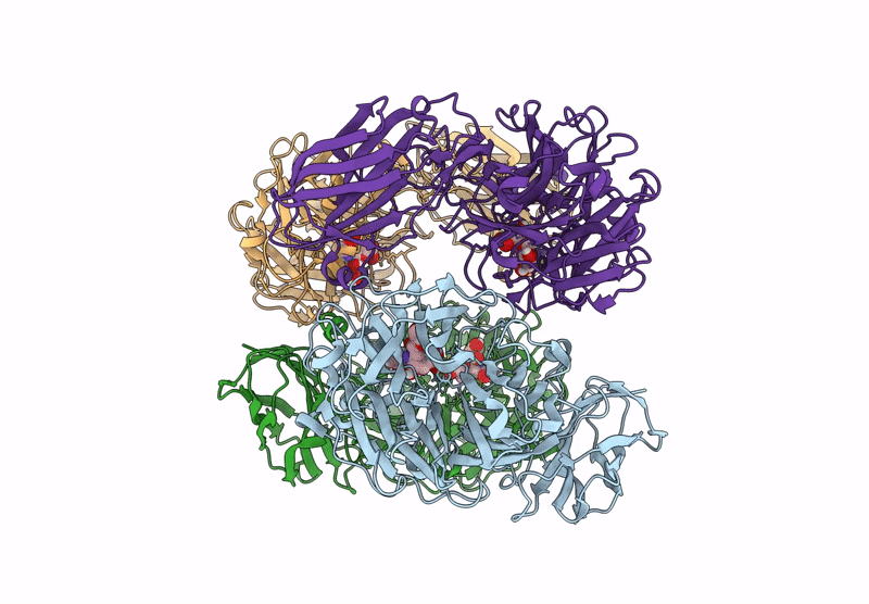 9DB6 image