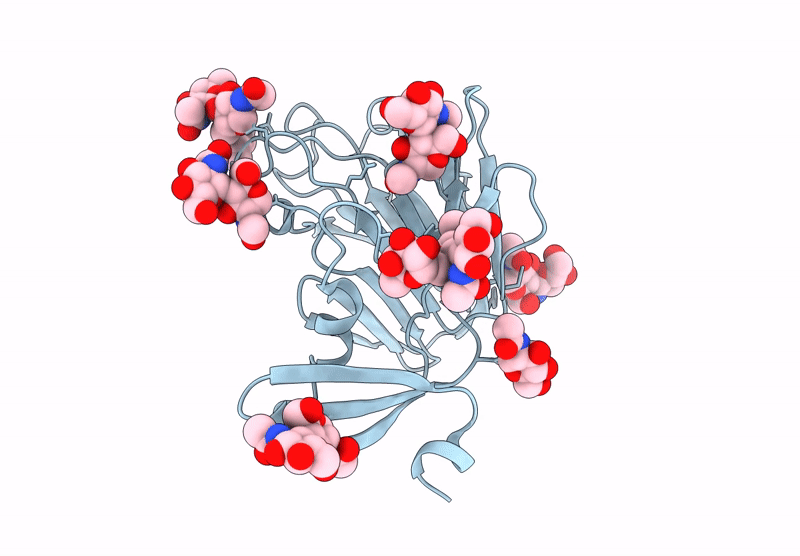 9DBE image